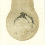 Ex Voto | Breast 55x29 cm, 2019